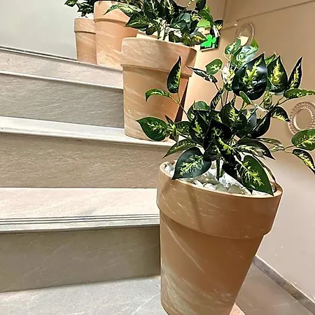 Hotel Lion's Bukurešť